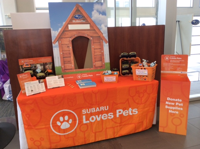 Subaru Loves Pets display 1