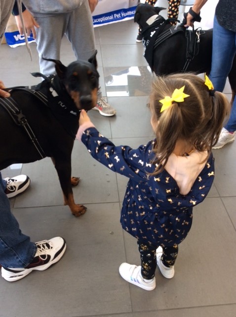 First Team Subaru Pet Event Girl with dog