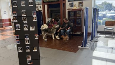 Southern Team Subaru SPCA of Roanoke Vaccine Clinic