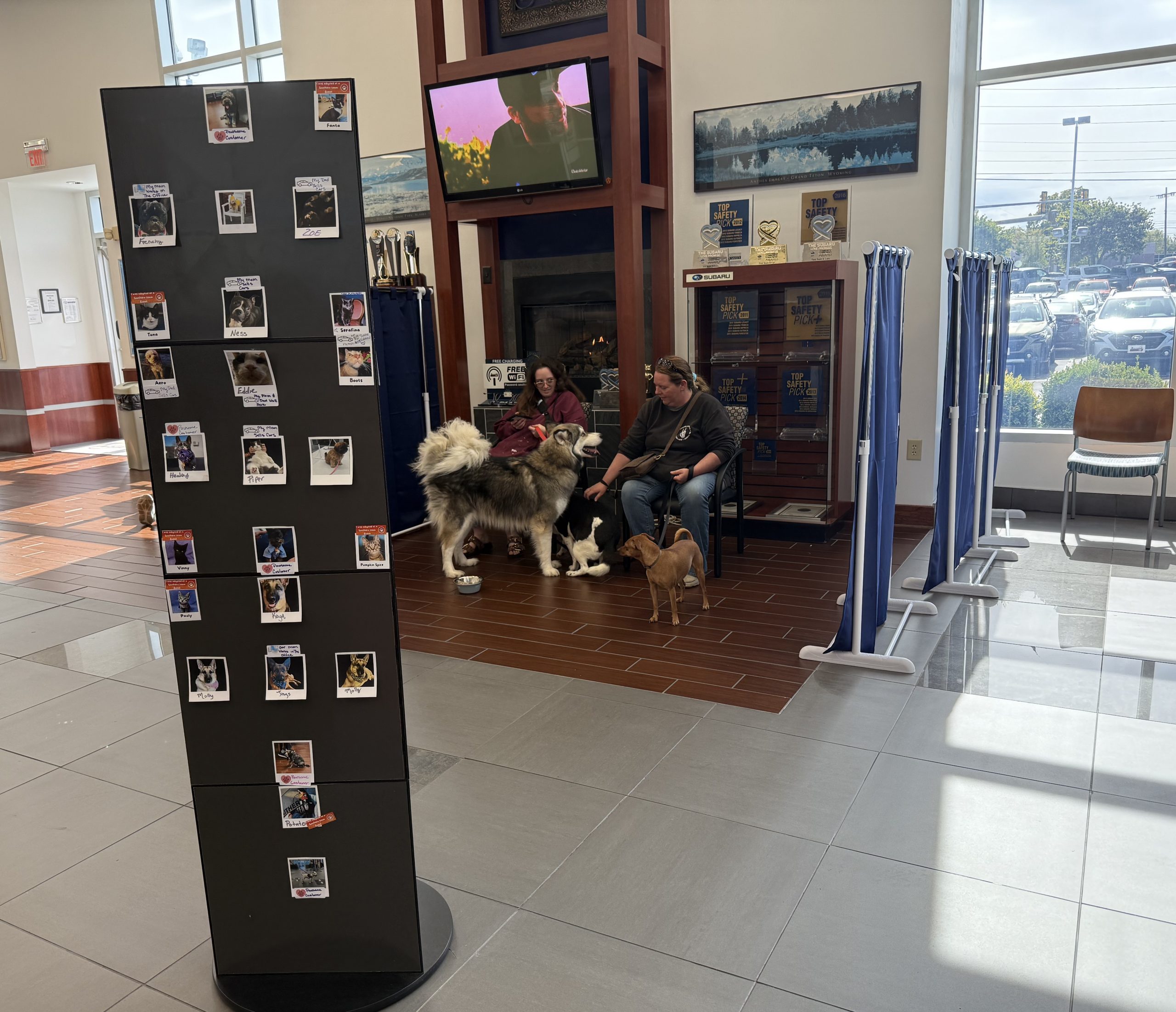 Southern Team Subaru SPCA of Roanoke Vaccine Clinic