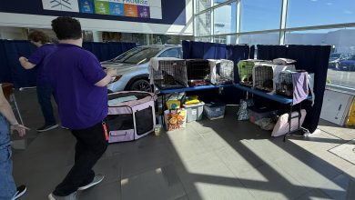 Southern Team Subaru Roanoke SPCA