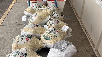 Southern Team Subaru Thanksgiving