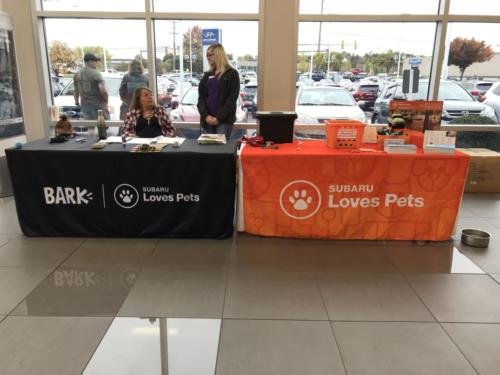 First Team Subaru Pet Event_3058